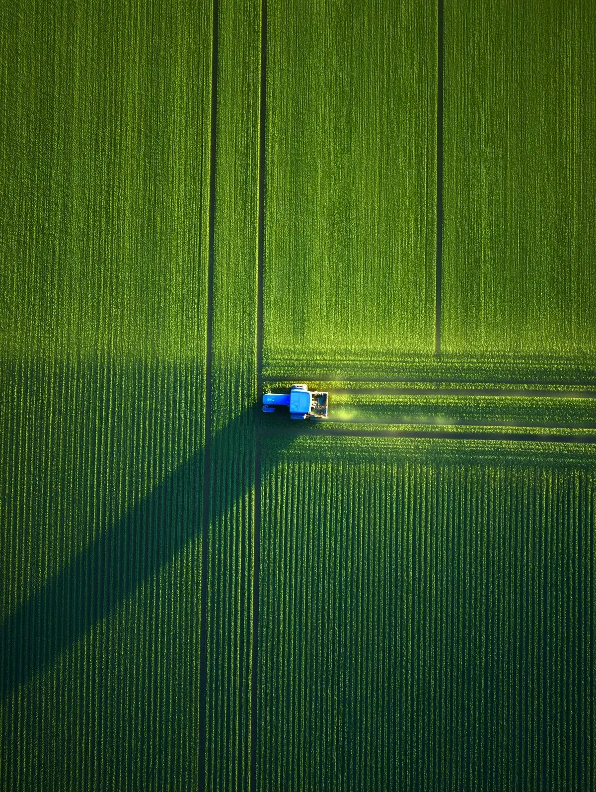 Agriculture​ & sécurité alimentaire​